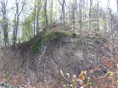 Koliburg_Exkursion_04