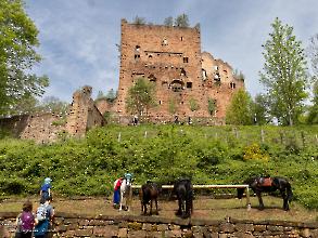 309A4696 Elsass Burg Rathsamhausen