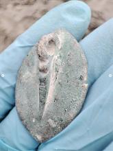 Unterwasserarchäologische Funde am Fuss der Pfalz Neue Einblicke in Basels Geschichte_2