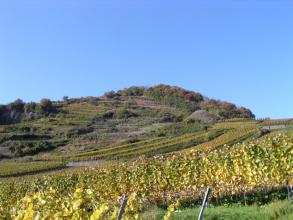 Achkarren Burg Höhingen