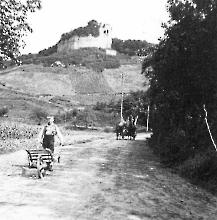 Burgruine Lichteneck Kenzingen-Hecklingen