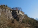 Burg Limburg