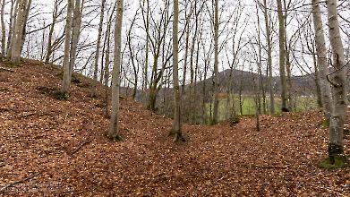 Burg Yach bei Elzach - Halsgraben Nordansicht