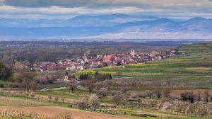 Burkheim von Bischoffingen am Hüttenberg aus gesehen