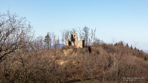 Ebringen (FR) Schneeburg