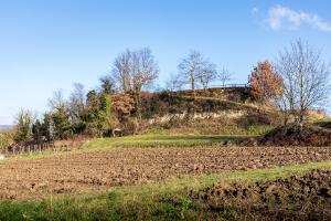 Eichstetten Burgstelle am Südrand