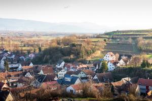 Eichstetten Burgstelle am Südrand