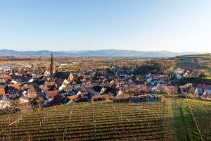 Burg Eichstetten 04