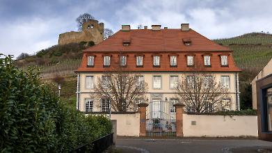 Hecklingen Unteres Schloss 1776