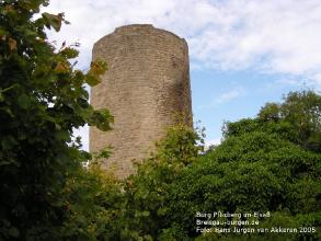 Burg Plixberg