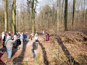 Exkursion im Schatten der Burg Kuernberg am 15.03.2015-36