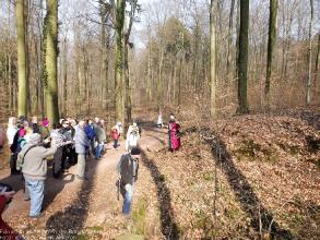 Exkursion im Schatten der Burg Kuernberg am 15.03.2015-36