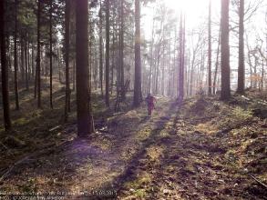 Exkursion im Schatten der Burg Kuernberg am 15.03.2015-85