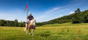 Schlosswiese bei der Kirnburg - Wanderexkursion mit Hand-Jürgen van Akkeren