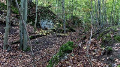 Endingen - Koliburg hangabwärts gestürtze Schildmauer Plateau Mitte Westseite