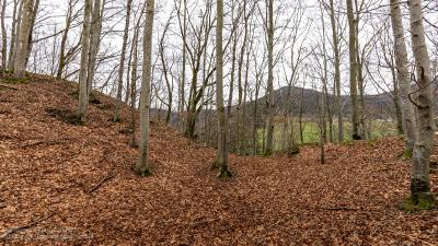 Burg Yach bei Elzach - Halsgraben Nordansicht