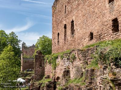 309A4713 Elsass Burg Rathsamhausen (links) und Burg Lutzelbourg (rechts)