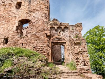 309A4726 Elsass Burg Lutzelbourg